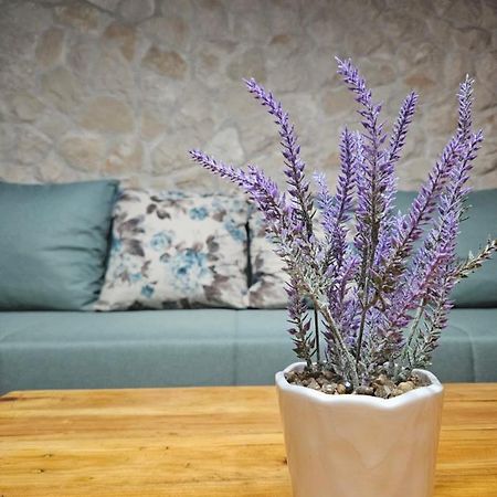 Dalmatia Rustica Comfortable One Bedroom+Fireplace Zadar Ngoại thất bức ảnh