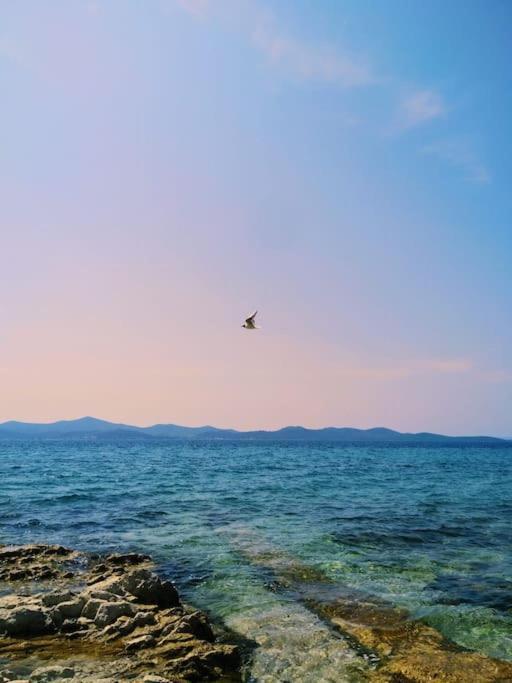 Dalmatia Rustica Comfortable One Bedroom+Fireplace Zadar Ngoại thất bức ảnh