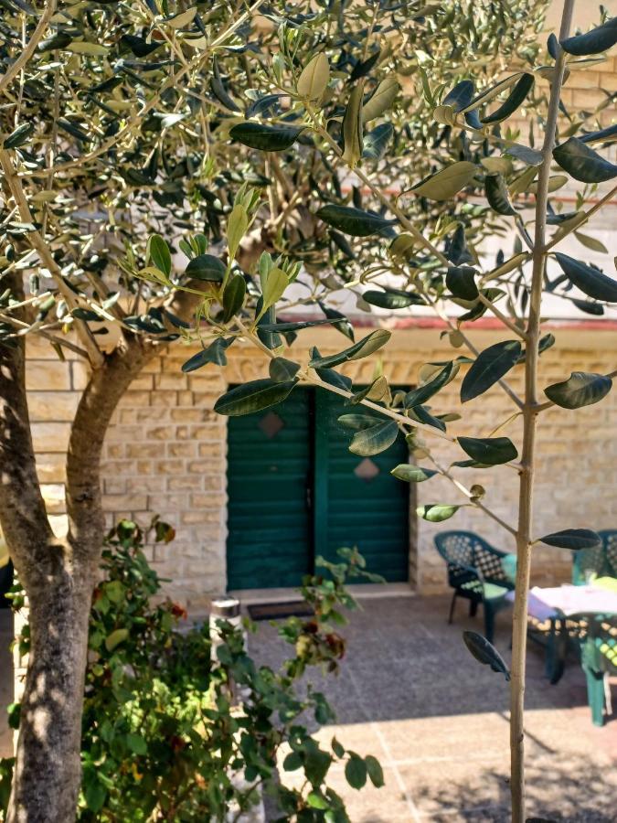 Dalmatia Rustica Comfortable One Bedroom+Fireplace Zadar Ngoại thất bức ảnh