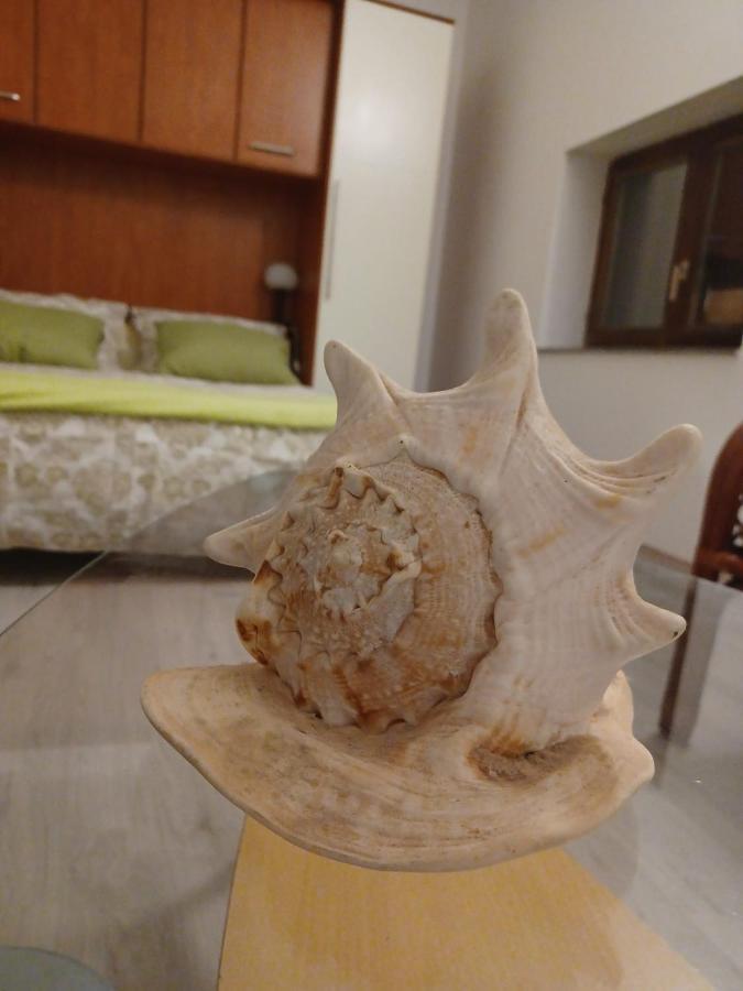 Dalmatia Rustica Comfortable One Bedroom+Fireplace Zadar Ngoại thất bức ảnh